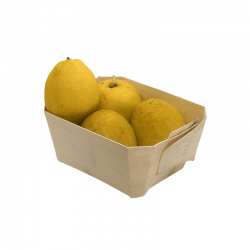 VASCHETTE IN PIOPPO BIODEGRADABILI PER CIBO